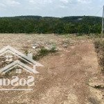 3035m2 đất trồng xoài, đường 7m, gần chợ phú cường chỉ 600tr/1000m2