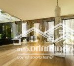 Cực hiếm! biệt thự mini hẻm nhựa phan xích long (6,4x16,4m) 4 tầng, 5 phòng, ở ngay. chỉ 11,5 tỷ tl
