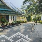 Hàng hiếm!!! bán nhà cấp 4 kdc gia hoà, dt khủng 180m2 hiện hữu. chỉ 6 tỷ