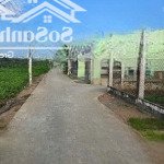 Bán đất tại xã phước hậu cần giuộc long an 1,25 tỷ 125 m2 5x25 hàng hiếm uy tín đường bê tông 5m