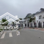 Bán biệt thự tại hud me linh central, 17,2 tỷ, 250m2, chính chủ giá siêu hời, rẻ nhất thị trường