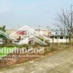 Bán 71m đất đấu giá lệ chi, mặt tiền rộng, đường 6m, giá đầu tư