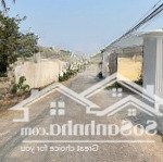 Trục thôn xã đoàn xá gần cảng nam đồ sơn giá đầu tư
