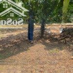 [chính chủ] bán đất 1051m2 full thổ cư tại xã long hòa, cần giờ, hcm, giá cực tốt