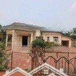 Bán biệt thự 651m2 tại thạch đà, mê linh