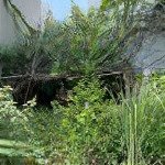 đất đẹp 72m², ngang 5m, hẻm 1 trục xe hơi lã xuân oai, tăng nhơn phú a chỉ 4,3 tỷ!