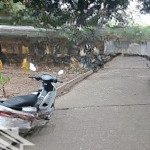 Chính chủ cần bán lô đất 52m tại ninh nội, tân dân,sóc sơn, hà nội.