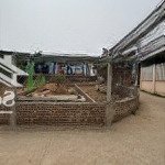 Chính chủ cần tiền bán mảnh đất vân lôi dt 43,5m2 cách tl 82 tầm 80m
