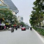 Tòa mặt phố xã đàn, mặt tiền rộng nhất phố, 135m2, vị trí đỉnh(ngân hàng thuê)