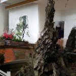 Bán nhà riêng cách đường kim ngưu 150m, hai bà trưng, hà nội, 145 triệu/m2, 193 m2