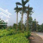 Cần bán nhà biệt thự liền kề thạch bàn long biên