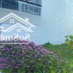 Bán 1 lô 104m2 ở đường trần công tường, p5, gò công, có sổ hồng, giá: 425 triệu lh: 0374673478