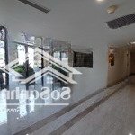Căn góc 3 ngủ sunshine riverside - full đồ - view sông hồng - 100m2 - tầng cao - giá: 8.9 tỷ