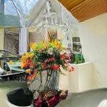 Bán nhà phân lô tam trinh , 5,8 tỷ, 5 tầng mới kính koog ,sổ đỏ nở hậu , 45m2, gần chợ, ngõ 3 gác