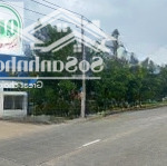 Cho thuê nhà xưởng dt 10.000m2 tại kcn biên hòa 2 - đồng nai