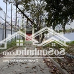 Cho thuê biệt thự sân vườn võ nguyên giáp, 600 m2