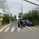 Gia đình cần bán lô đất 5x25m sổ hồng riêng ngay trung tâm thị trấn đức hoà, gần ngay ecity tân đức