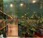Nhà riêng bán phường đa kao, q1, hcm, giá ưu đãi 8,2 tỷ, diện tích 60 m2