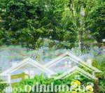 Bán biệt thự view hồ 375m2 + 368m2 sân vườn, 2 sân vườn trước sau, 5pn, flamingo đại lải