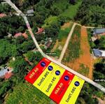 Cần ra nhanh 3 lô đất liền kề thuộc thôn vinh cẩm bình, cẩm thủy, thanh hóa