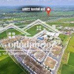 đất nền sổ hồng riêng liền kề siêu dự án ecopark, trả góp, hỗ trợ vay ngân hàng 70%