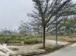 Bán lô góc đất biệt thự đơn lập tại từ sơn garden city bắc blinh giá rẻ bất ngờ. sổ đỏ lâu dài sẵn