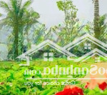 Siêu dinh thự waterpoint nam long 600m2 giá 20 tỷ như ecopark hưng yên. lh 0985599284