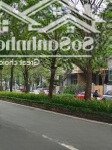 Khách nhờ bán nhanh căn liền kề dãy k2 ciputra - tây hồ. - dtsd: 180m2 x 3.5 tầng