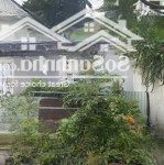 Bán đất vị trí đẹp, phường tăng nhơn phú b, tp. thủ đức, tp. hcm (đất chính chủ)