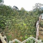 Hàng mới tinh. lô đất 400m2 tại ké mới, tản lĩnh, ba vì, hà nội. view núi tản, không khí thoáng mát
