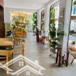 Cho thuê nhà mặt phố láng hạ, mặt tiền 5m, diện tích sàn 90m2 kinh doanh mọi mô hình