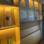 Cần bán gấp giá rẻ! ch vinhomes metropolis - liễu giai, 12,8 tỷ, 82m2, 2pn, 2wc