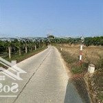 Bán đất hàm hiệp, 1,23 tỷ, lô gốc 2563m2, hàng hiếm tại bình thuận đường 4m bê tông 2 làn xe