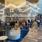 Tổng hợp căn chuyển nhượng alacarte hạ long giá tốt nhất 2025, 0964886697