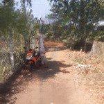 Cần bán gấp 1000m2 có 20m mặt tiền đường nhựa chưa tc có thể lên thổ cư chính chủ sổ hồng