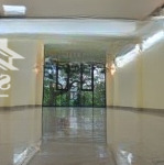 Tòa nhà văn phòng mặt phố vip quận tây hồ, 9 tầng, 160m, mt rộng 6.5m,kinh doanh cực đỉnh, 96 tỷ