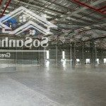 Cho thuê nhà xưởng kcn phú mỹ bà rịa vũng tàu giá chỉ 4 đô/m2