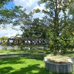 Nhà phố mặt tiền sông 1 trệt, 2 lầu, sân thượng - tt linh hoạt trong 36th, cam kết thuê 24 th, shr