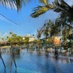 Lô góc vip gói 8 mỹ gia, diện tích 287.5 m2