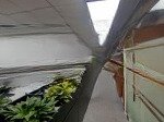 Chính chủ bán văn phòng tại tòa tasco, phạm hùng, mễ trì, nam từ liêm (đối diện keangnam)