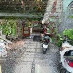 Cho thuê nhà nguyên căn hiệp bình chánh. thiết kế không gian xanh. ánh sáng tự nhiên. đường xe hơi