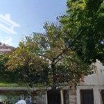 Cho thuê biệt thự view đẹp tại khu đô thị mới nghĩa đô, 250m2 x 5 tầng. vỉa hè, đường rộng kd