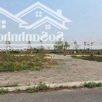 Bán đất nền 80m2 tại eco, tam nông, phú thọ, giá 1,25 tỷ vnd