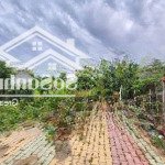 Bán đất xd nhà vườn 2500m2 có 500m2 tc bán 29 tỷ có sẵn nhà vườn ao cá đường xe hơi bank cho vay