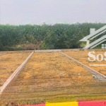 Bán đất đồng vàng, xã phùng xá, thạch thất, hà nội, 55 triệu, 60m2 - uy tín hot!