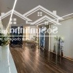 Bán cc dolphin plaza, trần bình, mỹ đình 2, nam từ liêm, hà nội, 9,2 tỷ, 164m2