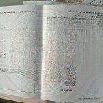 Bán đất trường thành, an lão, hải phòng
