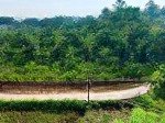 Lô hàng f0 cổng sau hướng đạo tam dương vĩnh phúc băng 2 đt309 và đường 36 giá 6xxtr
