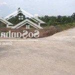 Sở hữu 88m tại đông tảo, khoái châu, hy giá chỉ hơn 2 tỷ ô tô vào tận đất gần chợ đầu mối