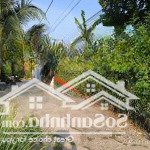 Bán đất thổ cư 1 ty 050 tr. hẻm 209 phường 7 thành phố tân an tỉnh long an